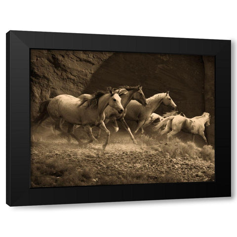 Wild Horses II Black Modern Wood Framed Art Print by Anonymous