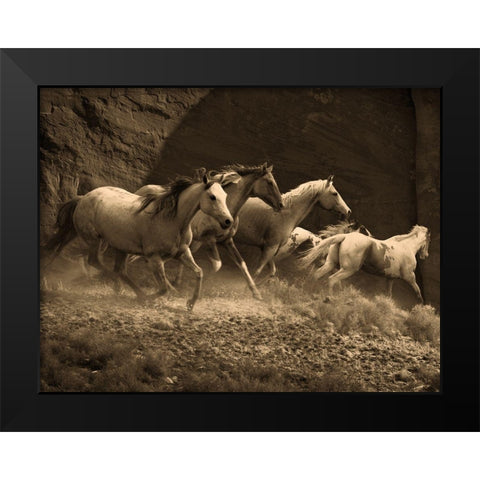 Wild Horses II Black Modern Wood Framed Art Print by Anonymous