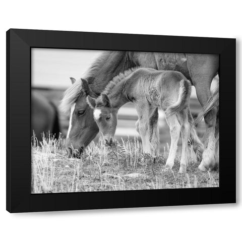 Like Mother, Like Son Black Modern Wood Framed Art Print with Double Matting by Turek, Eve