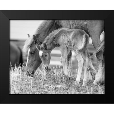 Like Mother, Like Son Black Modern Wood Framed Art Print by Turek, Eve