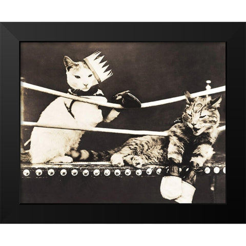 Catfight Black Modern Wood Framed Art Print by Anonymous