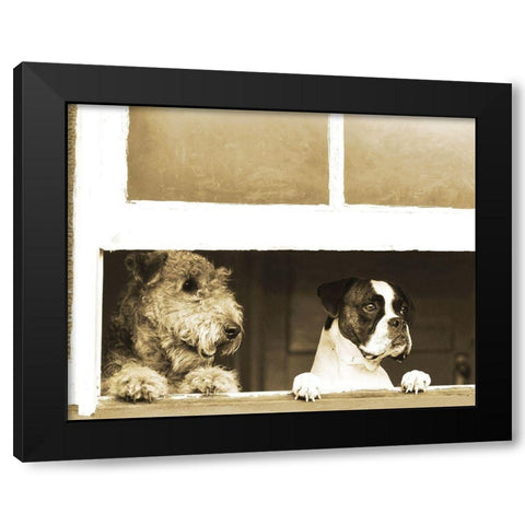 Waiting for Godot Black Modern Wood Framed Art Print by Anonymous