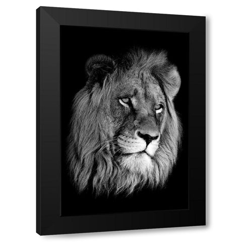 Lion King Black Modern Wood Framed Art Print by Anon