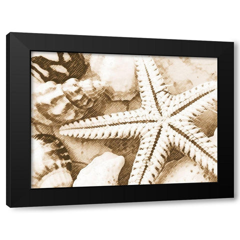 Starfish Impression Black Modern Wood Framed Art Print by Anonymous