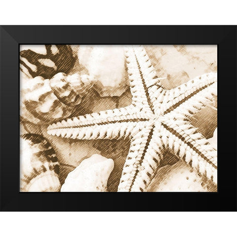 Starfish Impression Black Modern Wood Framed Art Print by Anonymous