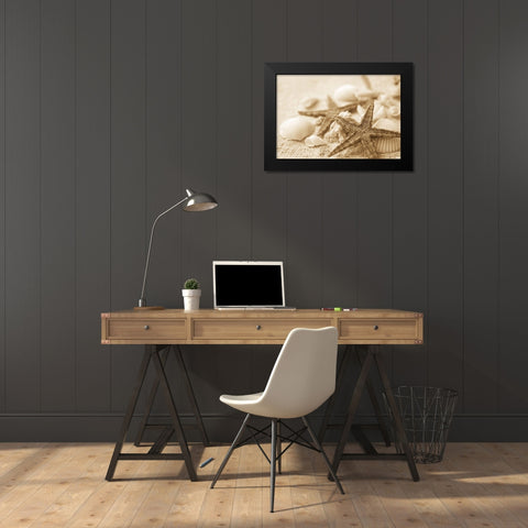 Starfish and Seashells Black Modern Wood Framed Art Print by Anonymous