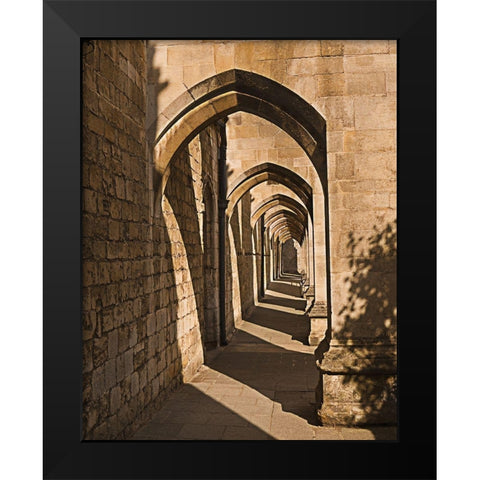Cloister Arches Black Modern Wood Framed Art Print by Anonymous