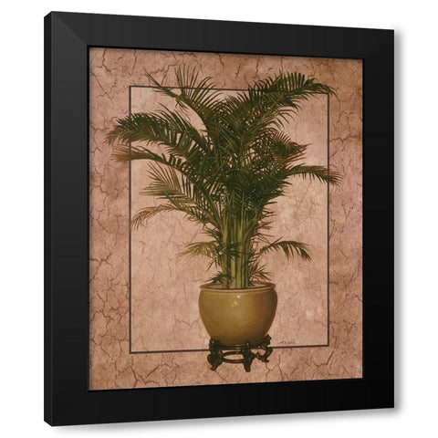Potted Palm I Black Modern Wood Framed Art Print by Unknown