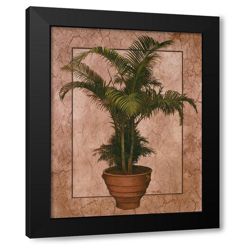 Potted Palm II Black Modern Wood Framed Art Print by Unknown