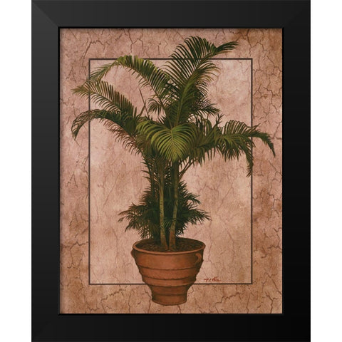 Potted Palm II Black Modern Wood Framed Art Print by Unknown