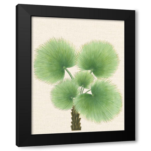 Palm Fronds Black Modern Wood Framed Art Print by Unknown