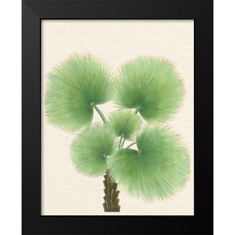Palm Fronds Black Modern Wood Framed Art Print by Unknown