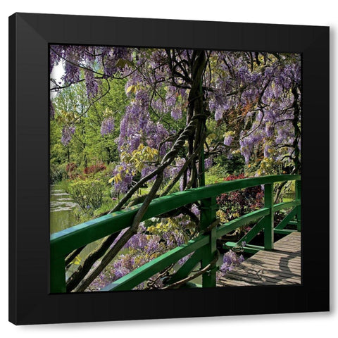 Jardin de Monet a Giverny II Black Modern Wood Framed Art Print with Double Matting by Pinsard, Laurent