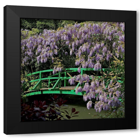 Jardin de Monet a Giverny III Black Modern Wood Framed Art Print with Double Matting by Pinsard, Laurent