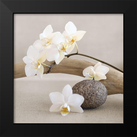 White orchid Black Modern Wood Framed Art Print by Chatelain, Sonia