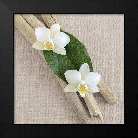 Orchid and Wood Black Modern Wood Framed Art Print by Chatelain, Sonia