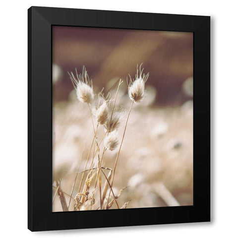 Herbes des Champs 1 Black Modern Wood Framed Art Print by BRAUN Studio