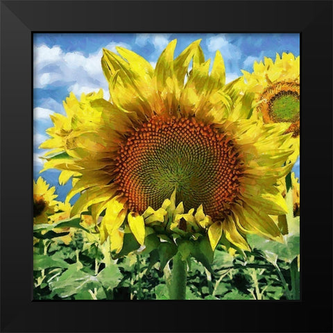 Sunflower Black Modern Wood Framed Art Print by Medeiros, Celito