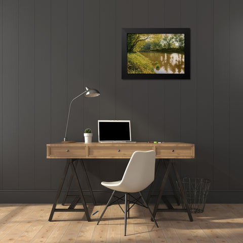 Sunshine Day Black Modern Wood Framed Art Print by Adamov, Alexey