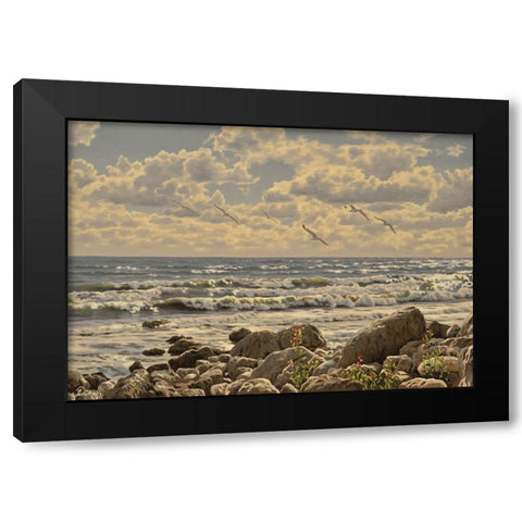Sea, Etude of Stones Black Modern Wood Framed Art Print with Double Matting by Adamov, Alexey