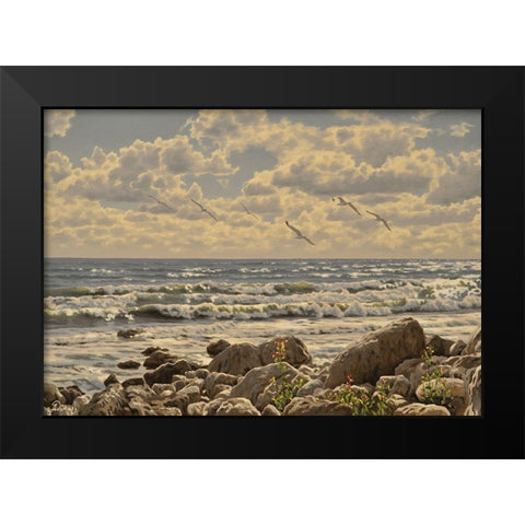 Sea, Etude of Stones Black Modern Wood Framed Art Print by Adamov, Alexey