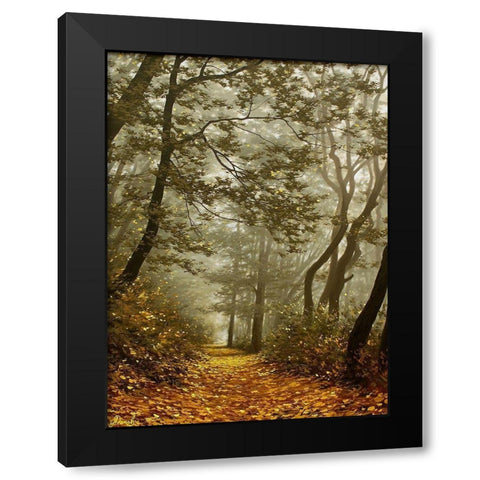 The Fog in Wood II Black Modern Wood Framed Art Print with Double Matting by Adamov, Alexey