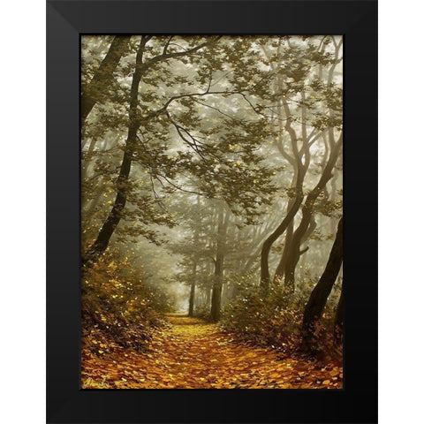 The Fog in Wood II Black Modern Wood Framed Art Print by Adamov, Alexey