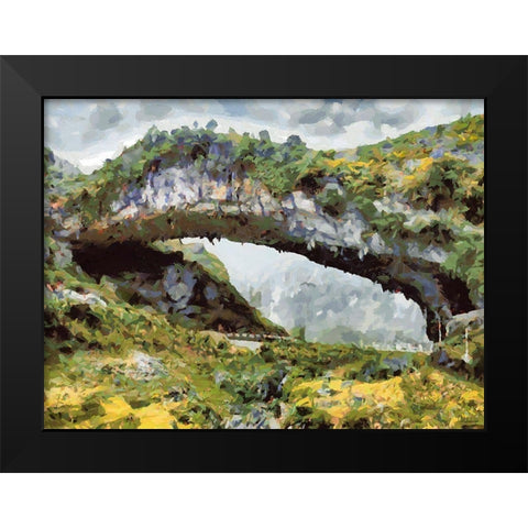 National Parks 13 Black Modern Wood Framed Art Print by Medeiros, Celito