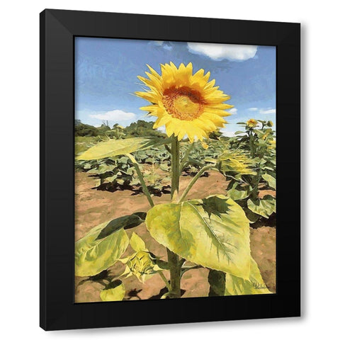 One Sunflower Black Modern Wood Framed Art Print by Medeiros, Celito