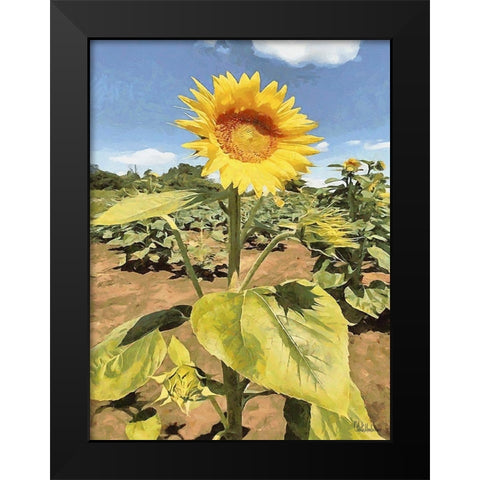 One Sunflower Black Modern Wood Framed Art Print by Medeiros, Celito