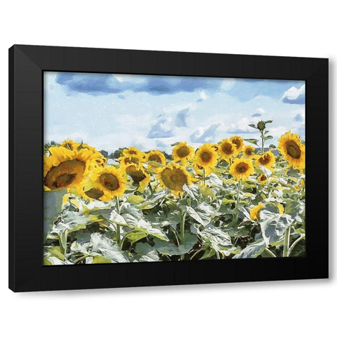Many Sunflowers Black Modern Wood Framed Art Print with Double Matting by Medeiros, Celito