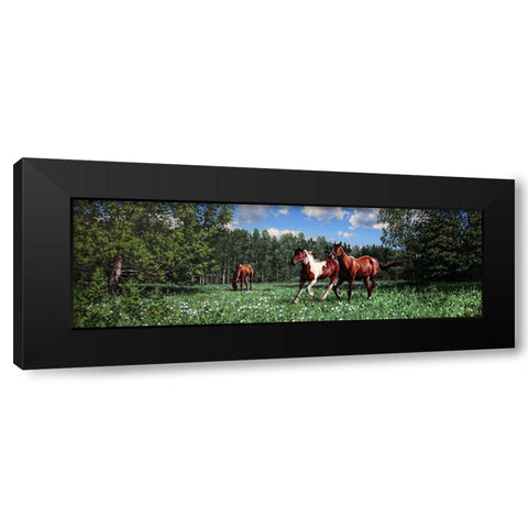 In the Summer Black Modern Wood Framed Art Print with Double Matting by Adamov, Alexey