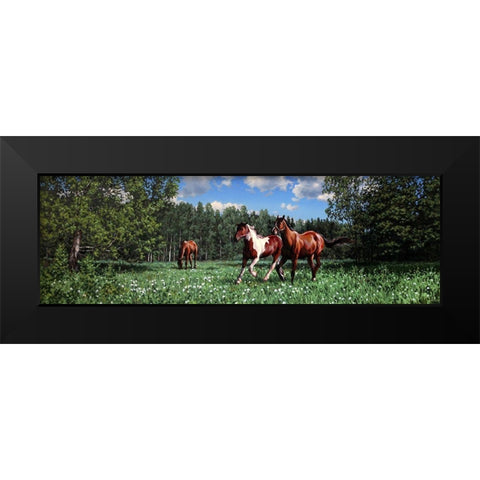 In the Summer Black Modern Wood Framed Art Print by Adamov, Alexey