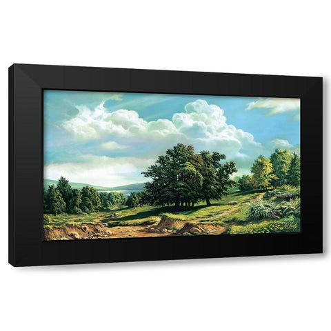 Trail to Lake Black Modern Wood Framed Art Print with Double Matting by Krol, Wieslaw