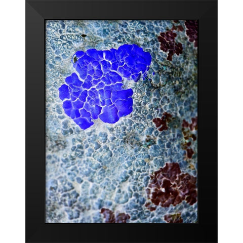 Texture Group IV Black Modern Wood Framed Art Print by Grayscale