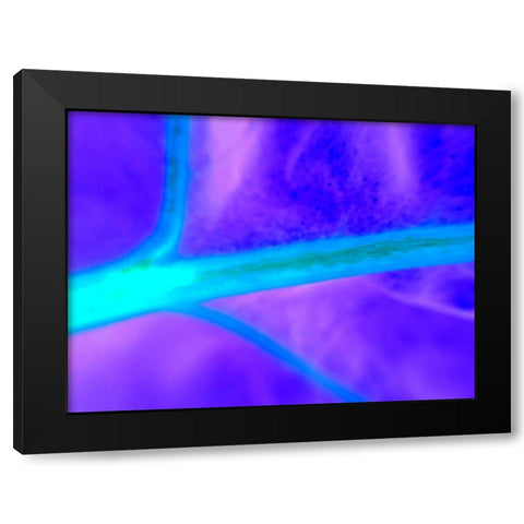 Energy Connection I Black Modern Wood Framed Art Print with Double Matting by Grayscale