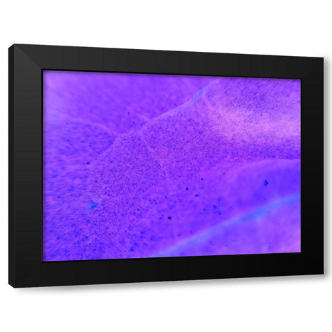 Energy Connection II Black Modern Wood Framed Art Print by Grayscale