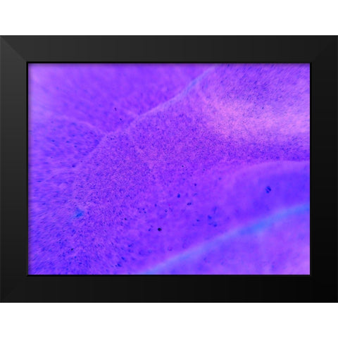 Energy Connection II Black Modern Wood Framed Art Print by Grayscale