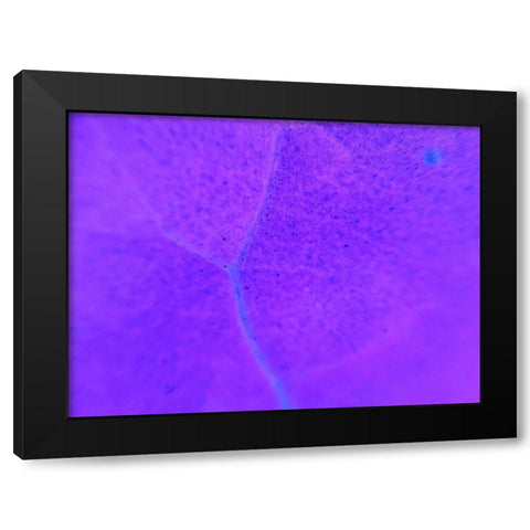 Energy Connection III Black Modern Wood Framed Art Print with Double Matting by Grayscale