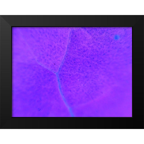 Energy Connection III Black Modern Wood Framed Art Print by Grayscale