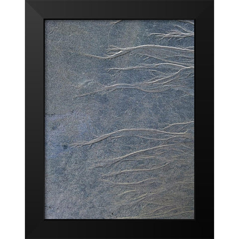 Sand Fibers I Black Modern Wood Framed Art Print by Grayscale