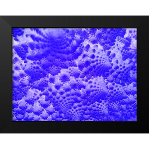 Fractal Clouds I Black Modern Wood Framed Art Print by Grayscale
