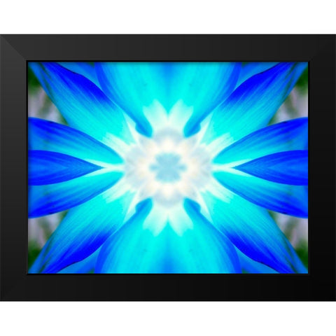 Flower Medallion V Black Modern Wood Framed Art Print by Grayscale