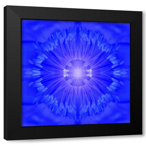 Flower Medallion I Black Modern Wood Framed Art Print with Double Matting by Grayscale