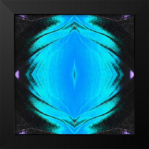 Butterfly Eye II Black Modern Wood Framed Art Print by Grayscale