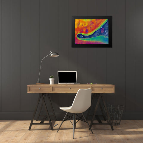 Bio Rainbow I Black Modern Wood Framed Art Print by Grayscale