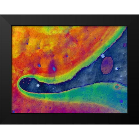 Bio Rainbow I Black Modern Wood Framed Art Print by Grayscale
