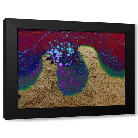 Bio Rainbow III Black Modern Wood Framed Art Print with Double Matting by Grayscale