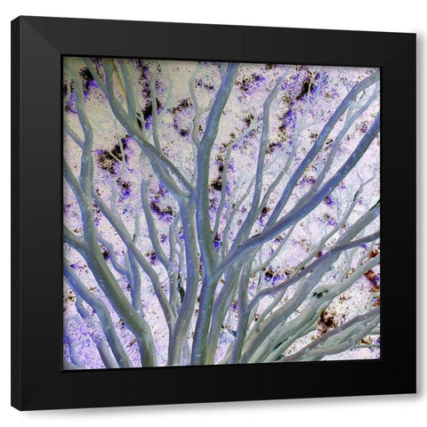 Space Canopy II Black Modern Wood Framed Art Print with Double Matting by Grayscale