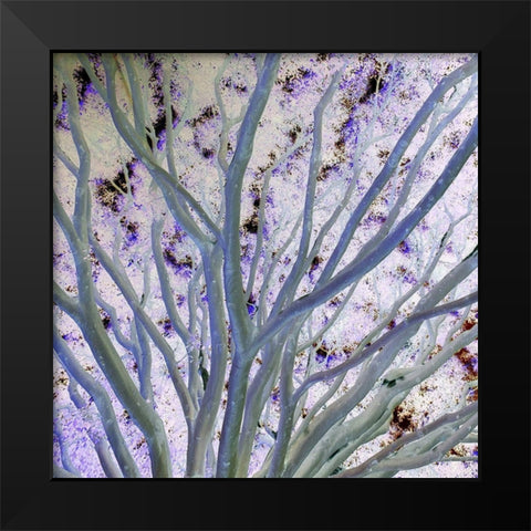 Space Canopy II Black Modern Wood Framed Art Print by Grayscale